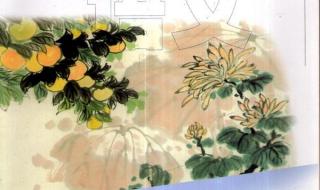 一年级语文教学案例