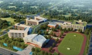 青岛大学专科分数线 青岛大学专科分数线